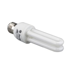 Bóng U11w vặn Rạng Đông (1 t = 24 cái)