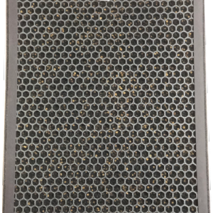 Bộ lọc Carbon