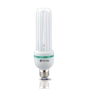Bóng U25W vặn rạng đông (1T=24C)