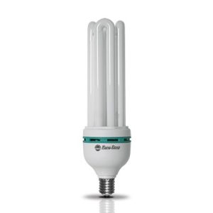 Bóng U40w vặn Rạng Đông (1 T = 12 cái)