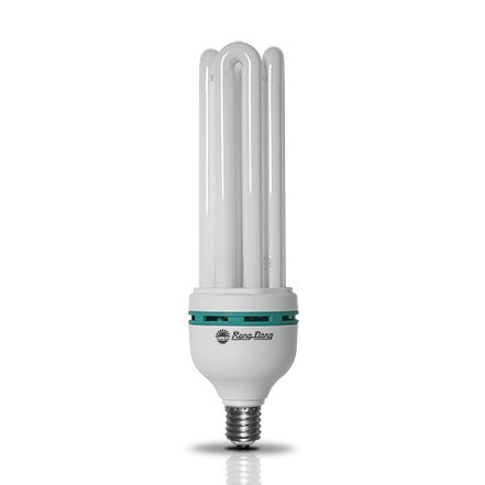Bóng U40w vặn Rạng Đông (1 T = 12 cái)